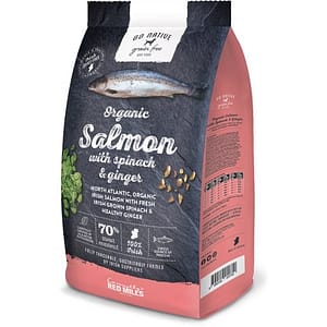 Go Native Biologische Zalm met Spinazie en Gember